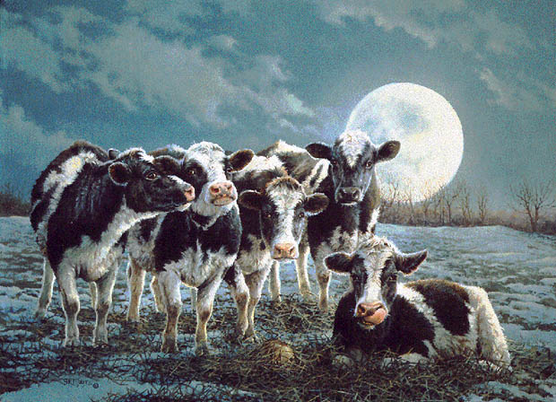 Moonshine