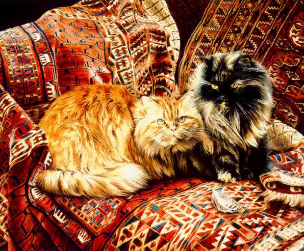 Five Persians