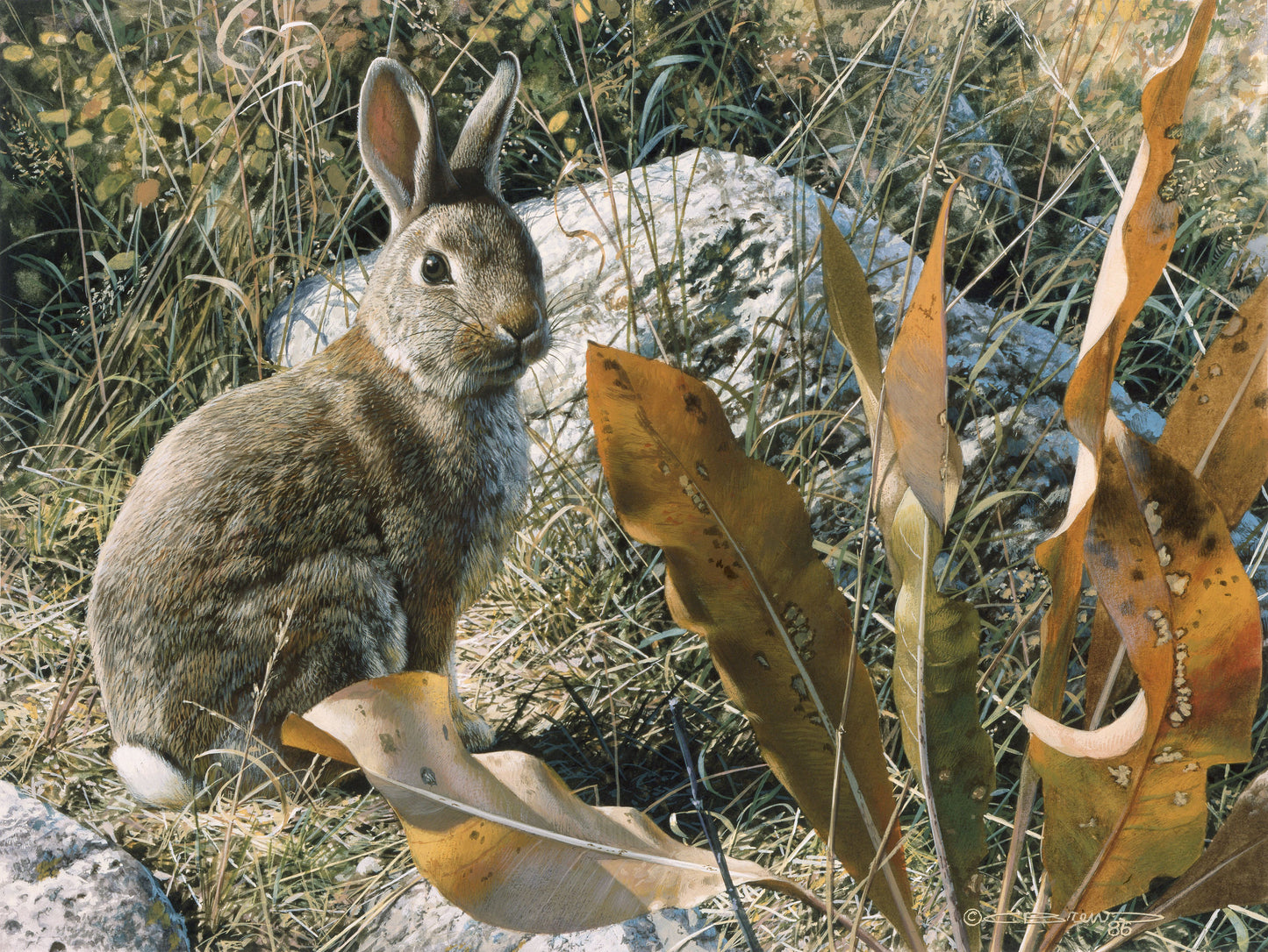 Whispers in Cottontail Haven