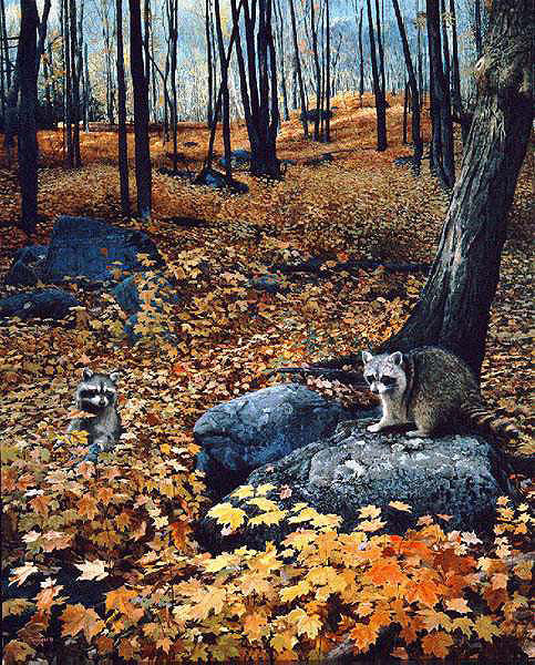 Autumn Hillside