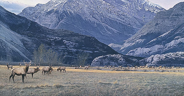 Gathering of The Herd