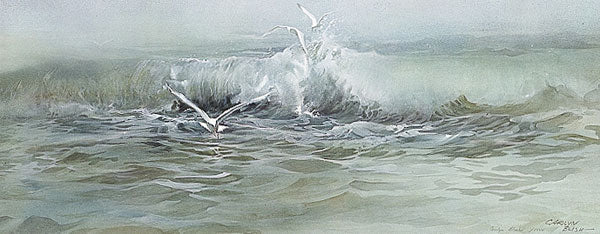 Misty Sea
