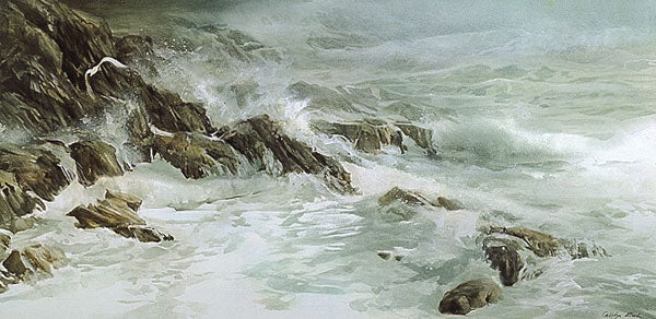 Storm's Edge