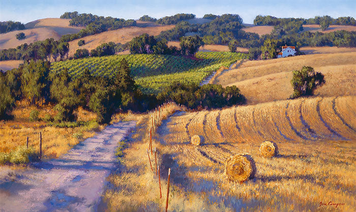Old Napa Road