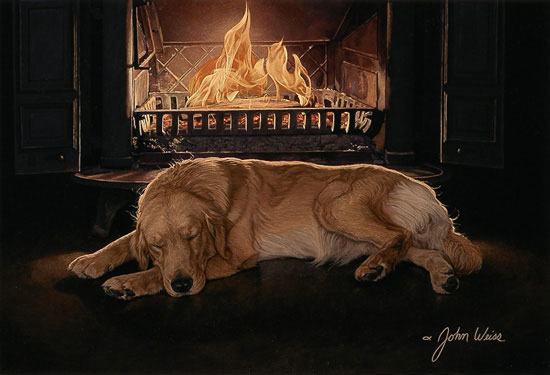 A Feeling of Warmth