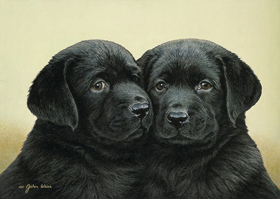 Double Trouble