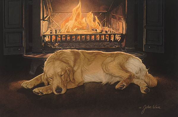 A Feeling of Warmth