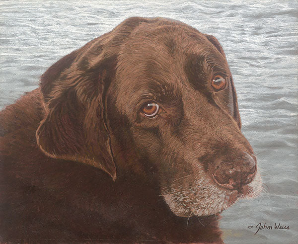 Old Friend by the Sea