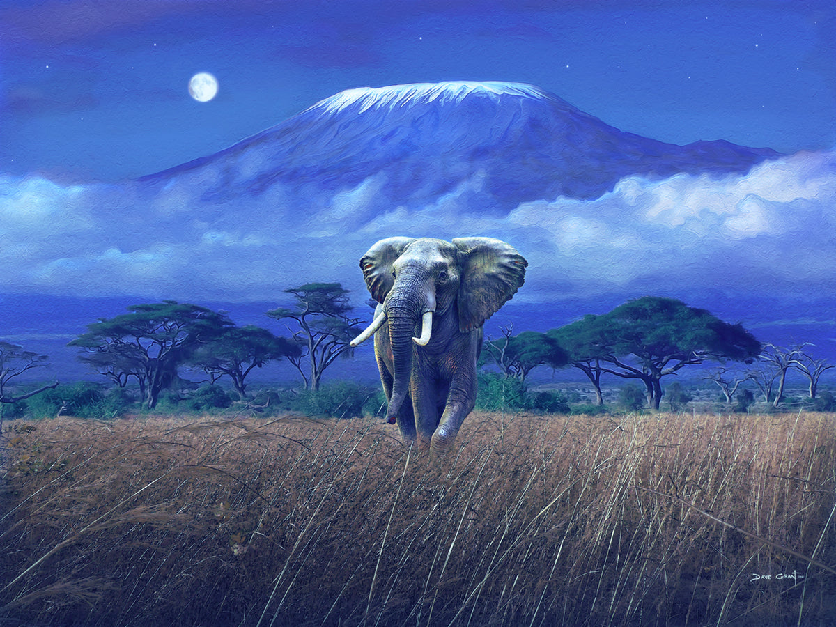 Moon Over Kilimanjaro