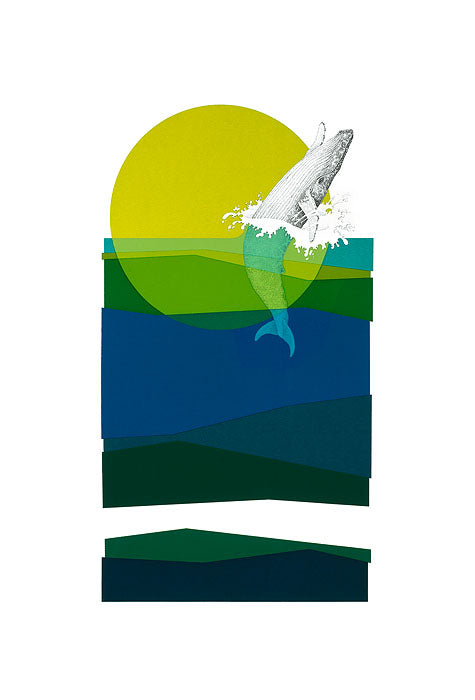 Humpback Whale