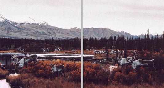 WAY OF THE CARIBOU