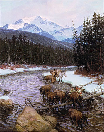 Walking Coyote and The Buffalo Orphan