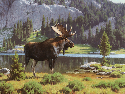 Moose at Dean Lake