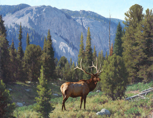 The Head of Pine Rock