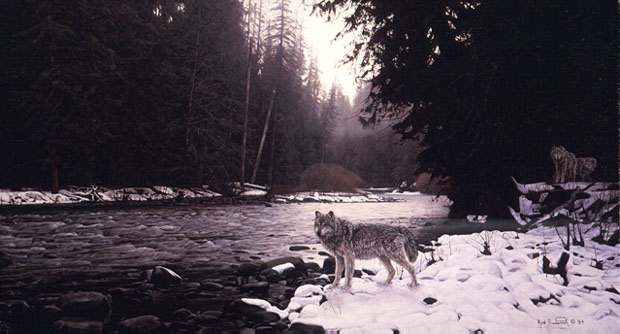 From Timber's Edge