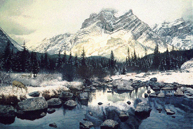 Mountain Light