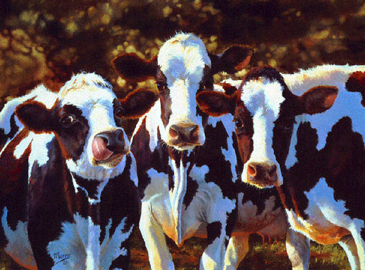 DAIRY QUEENS