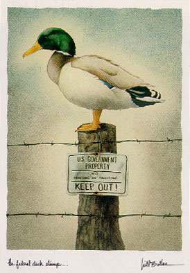 THE FEDERAL DUCK STUMP