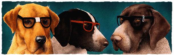 THE NERD DOGS