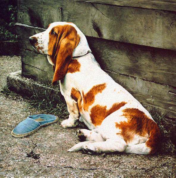Slipper Thief