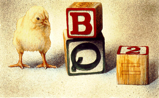 a chick off the old block...