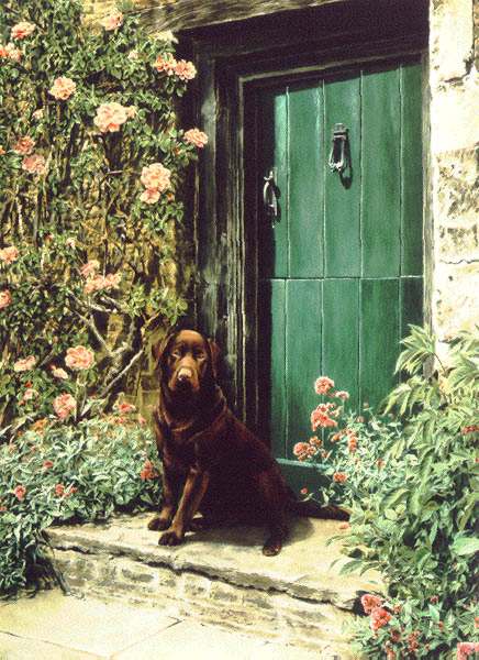 The Sentry