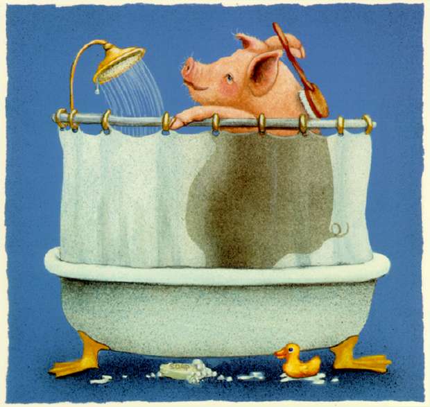 HOGWASH