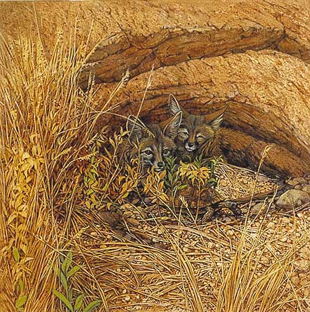 Fox Haven Bev Doolittle