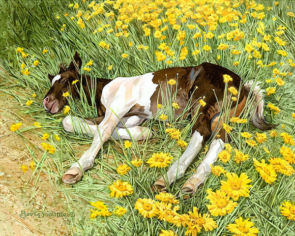 Spring Break by Bex Doolittle