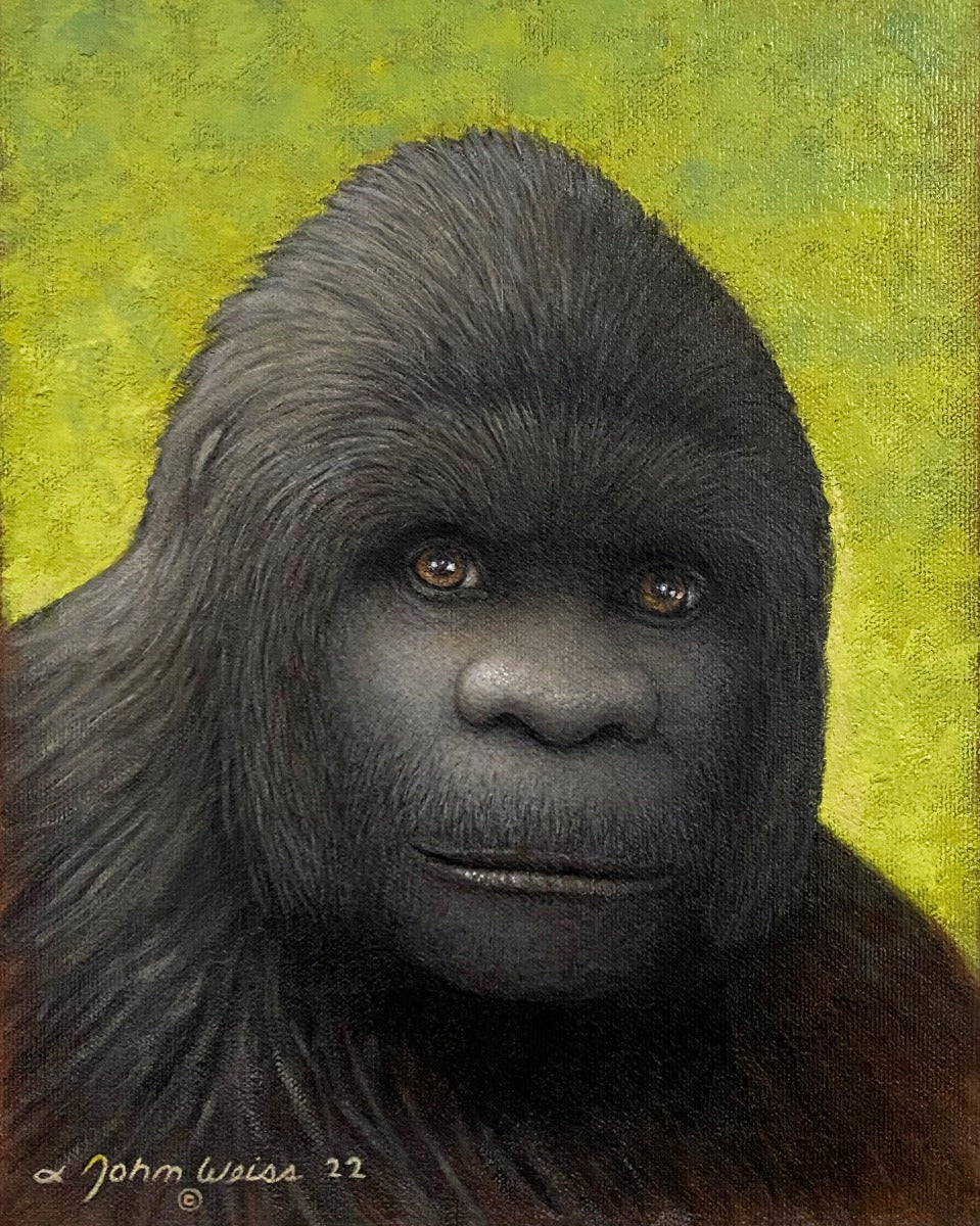 Sasquatch