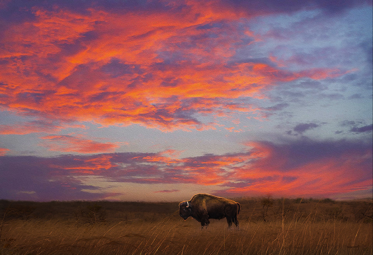 Buffalo Sunset