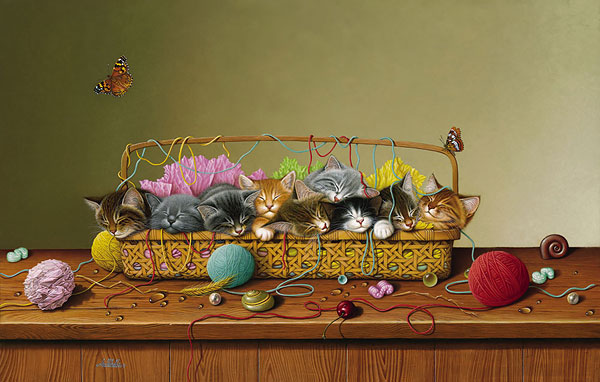 Kitty Litter