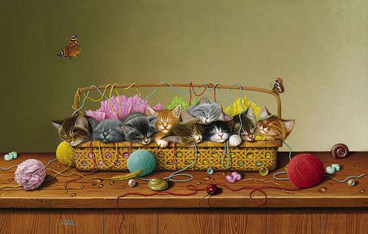 Kitty Litter
