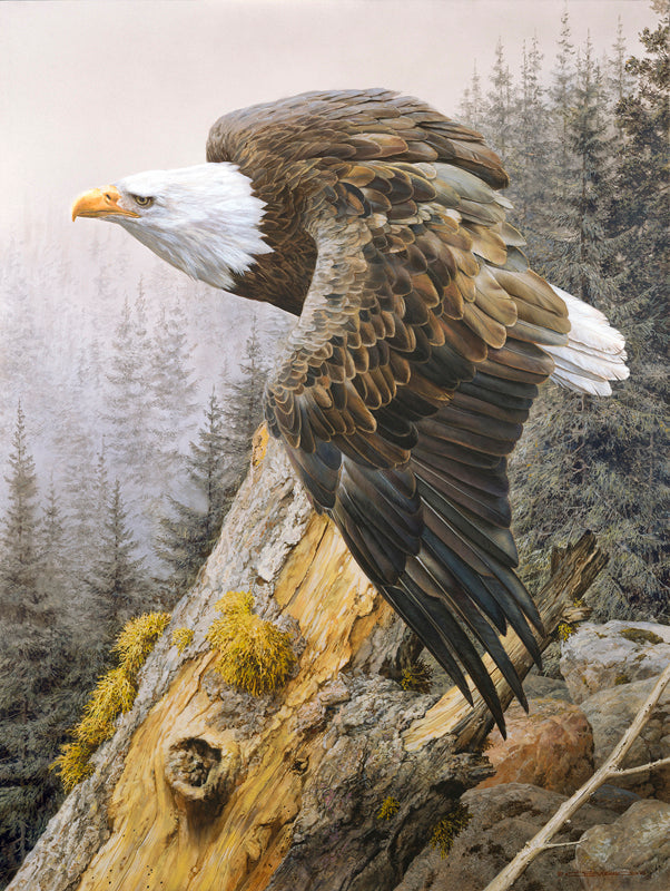 America on the Rise