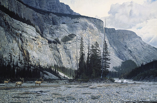 Riverbed