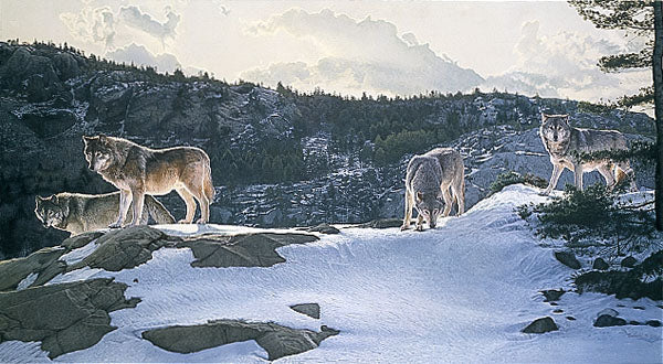 Open Ridge
