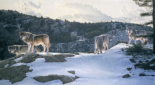 Open Ridge