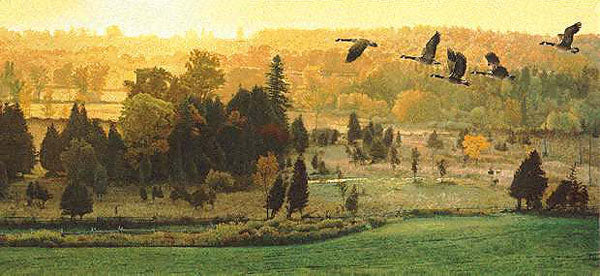 Out of The Valley