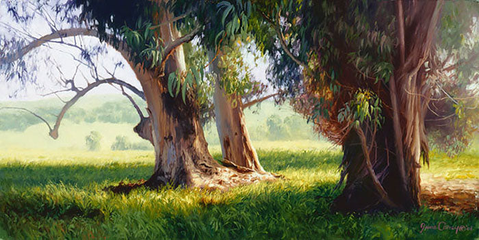 Eucalyptus Trunks