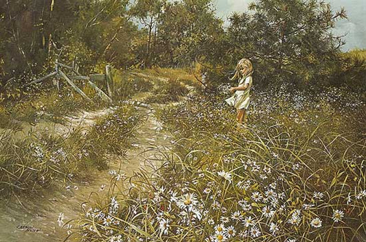 Roadside Dasies