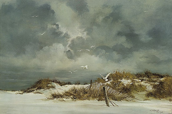 Shore Birds