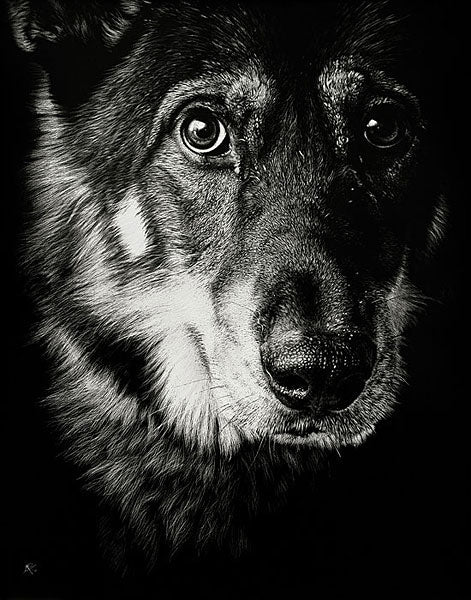 Cautious Observation