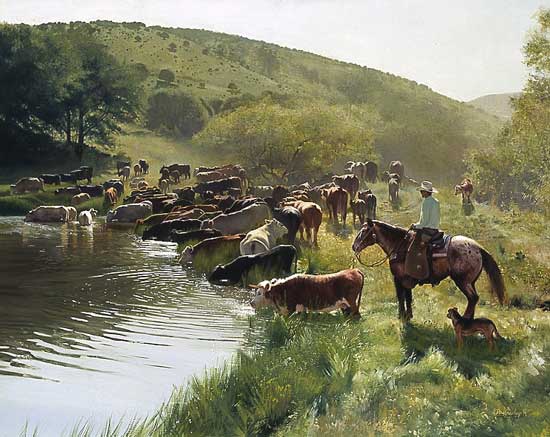 Water in The Draw