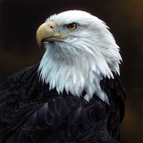 Sovereign Repose