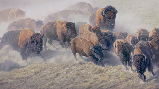 Thunder and Dust