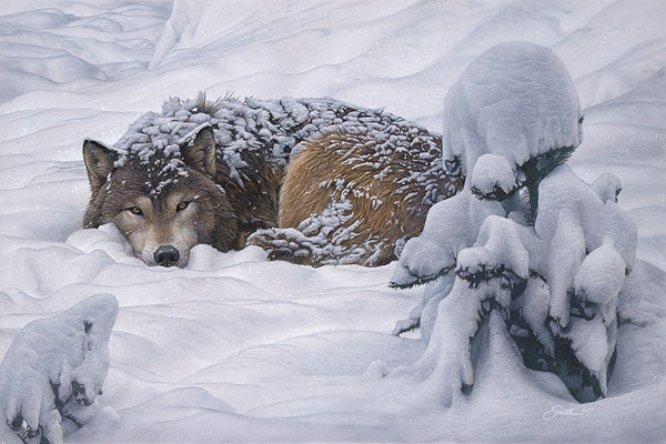 Winter´s Embrace