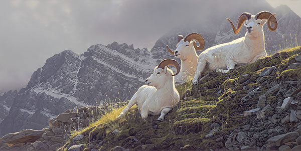 Summit Sanctuary