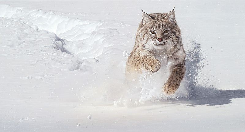 Snow Blower