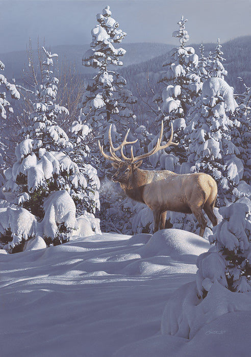 Winter Sundance