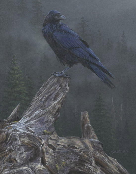 Raven´s Roost